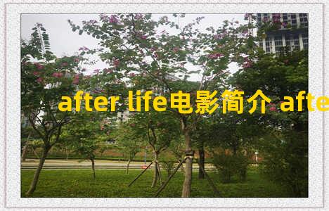 after life电影简介 after life.